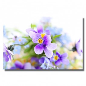 Tranh dán tường Hoa Tươi